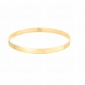 Bangle