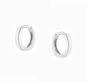 Frosty Silver Earrings