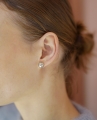 DSC05733globe  silv.jpg