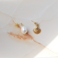 Kolczyki Shell Studs Gold