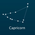 Naszyjnik Zodiac - koziororzec