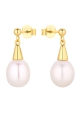 Kolczyki Clam Pearls Gold